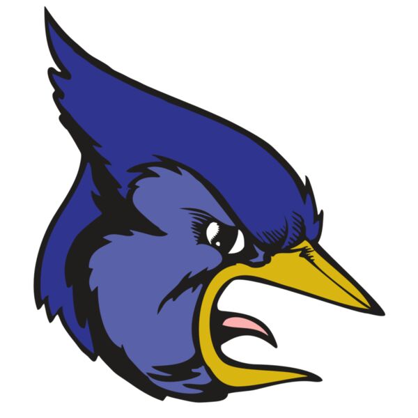 BAW BLUEJAY 04 RC Thumbnail